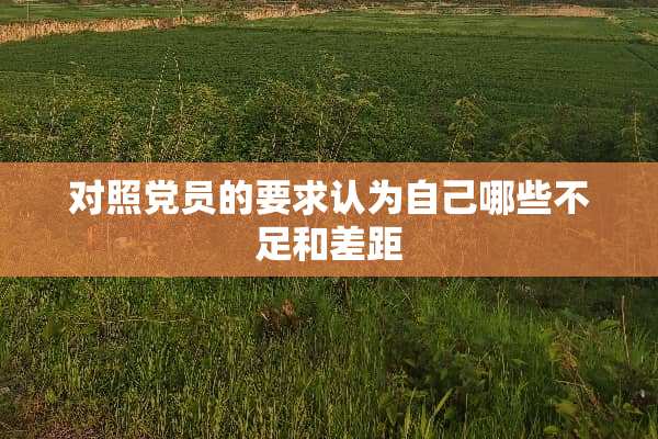 对照*员的要求认为自己哪些不足和差距