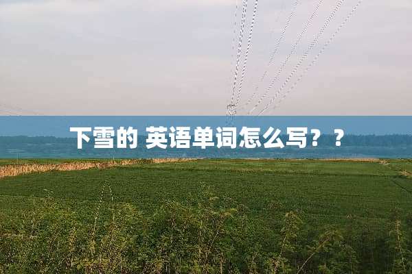 下雪的 英语单词怎么写？？