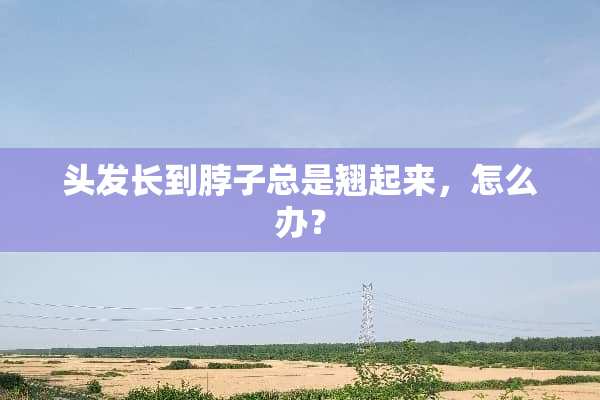 头发长到脖子总是翘起来，怎么办？