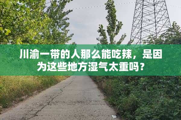 川渝一带的人那么能吃辣，是因为这些地方湿气太重吗？