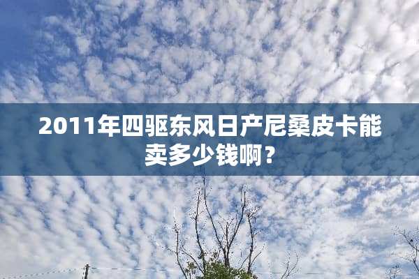 2011年四驱东风日产尼桑皮卡能卖多少钱啊？