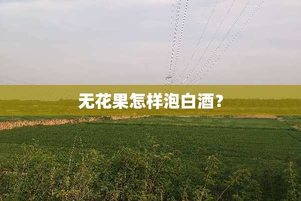 无花果怎样泡白酒？