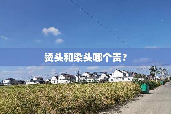 烫头和染头哪个贵？
