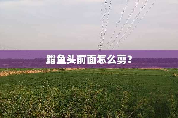 鲻鱼头前面怎么剪？