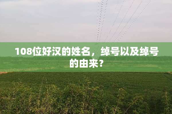 108位好汉的姓名，绰号以及绰号的由来？