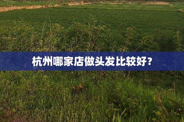 杭州哪家店做头发比较好？