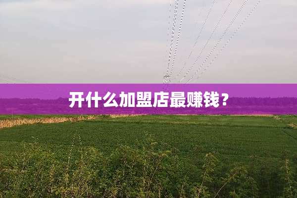 开什么加盟店最赚钱？