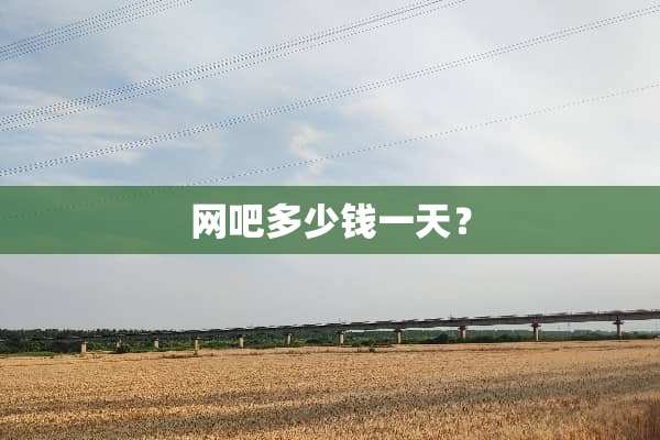网吧多少钱一天？