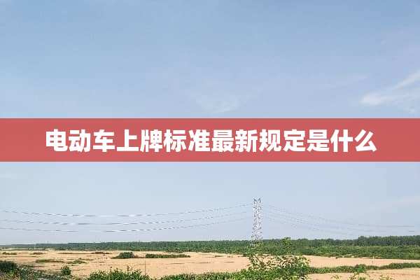 电动车上牌标准最新规定是什么