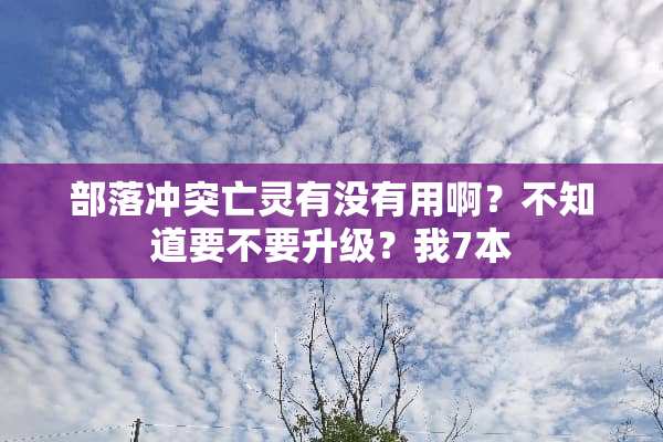 部落冲突亡灵有没有用啊？不知道要不要升级？我7本