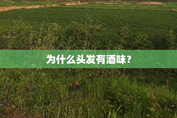 为什么头发有酒味？