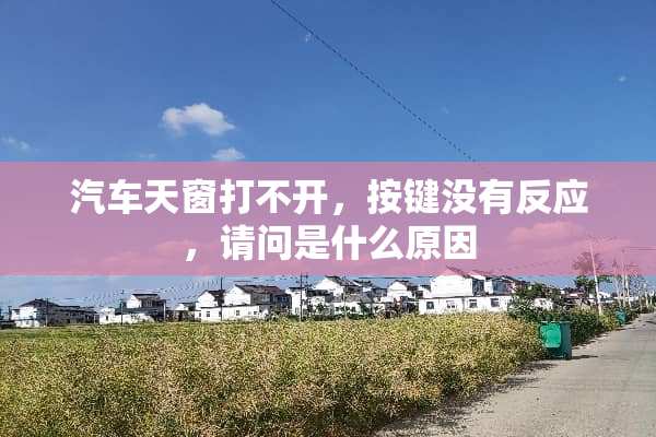 汽车天窗打不开，按键没有反应，请问是什么原因