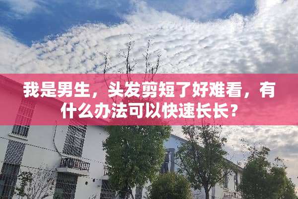 我是男生，头发剪短了好难看，有什么办法可以快速长长？