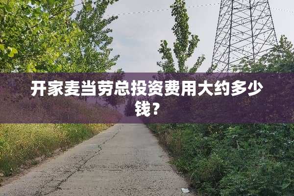 开家麦当劳总投资费用大约多少钱？