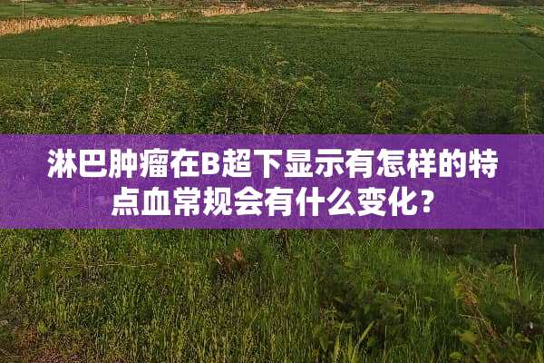 淋巴肿瘤在B超下显示有怎样的特点血常规会有什么变化？