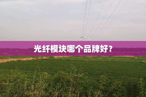 光纤模块哪个品牌好？