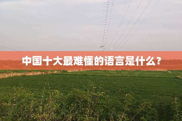 中国十大最难懂的语言是什么？