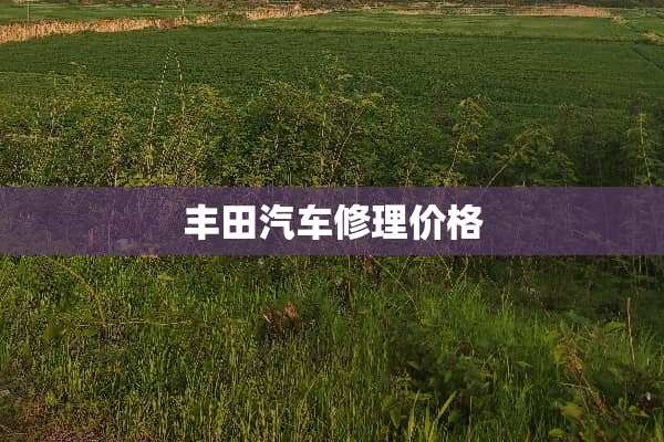 丰田汽车修理价格