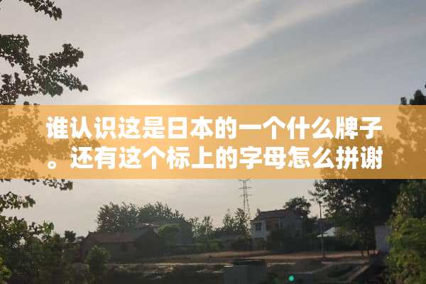 谁认识这是日本的一个什么牌子。还有这个标上的字母怎么拼谢谢！