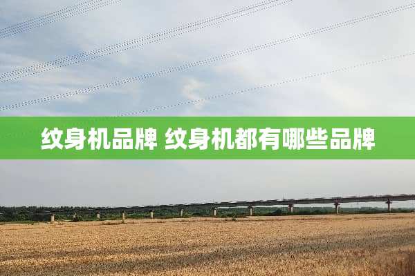 纹身机品牌 纹身机都有哪些品牌