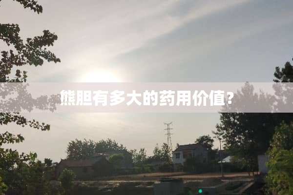 熊胆有多大的药用价值？