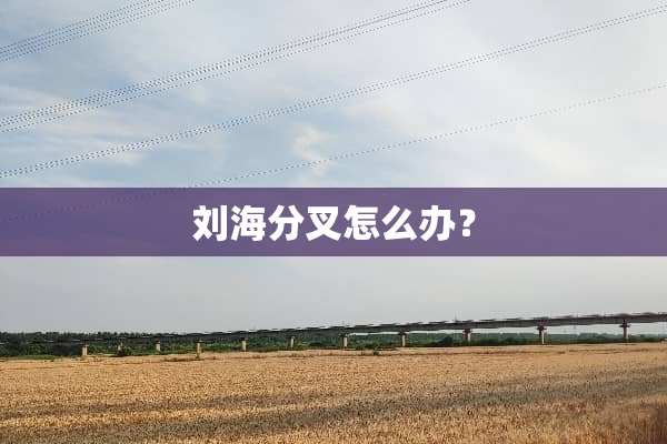 刘海分叉怎么办？