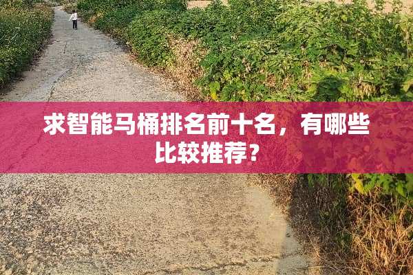求智能马桶排名前十名，有哪些比较推荐？