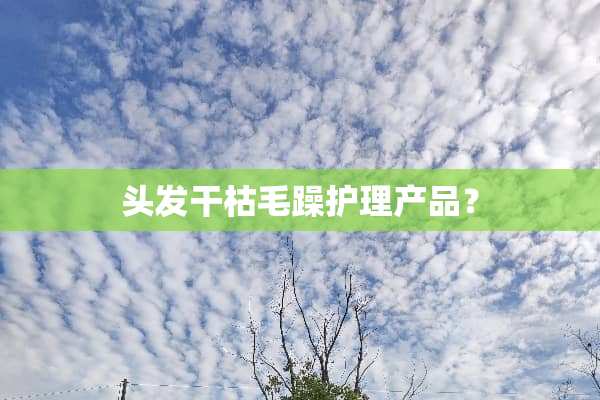 头发干枯毛躁护理产品？