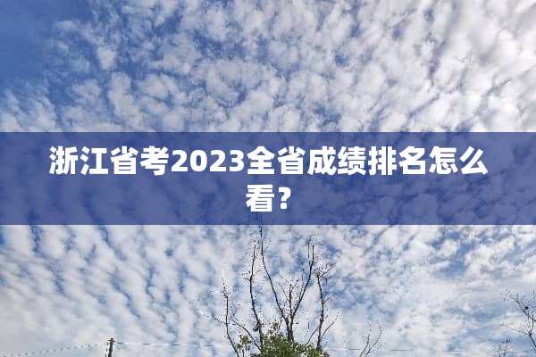 浙江省考2023全省成绩排名怎么看？