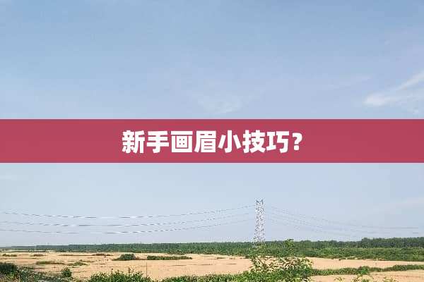 新手画眉小技巧？