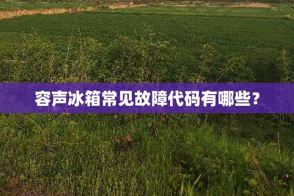 容声冰箱常见故障代码有哪些？