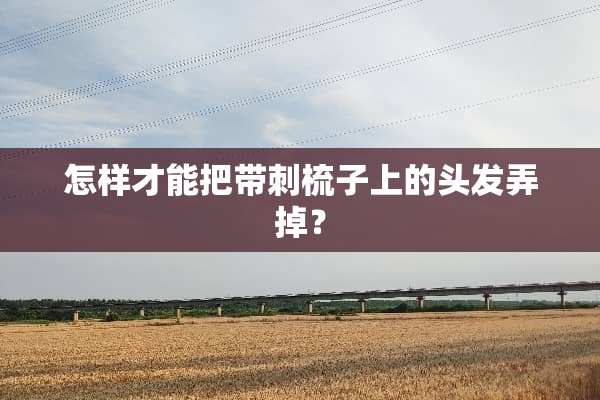 怎样才能把带刺梳子上的头发弄掉？