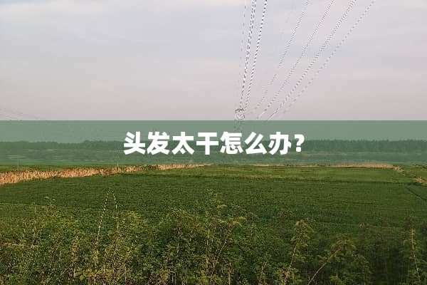 头发太干怎么办？