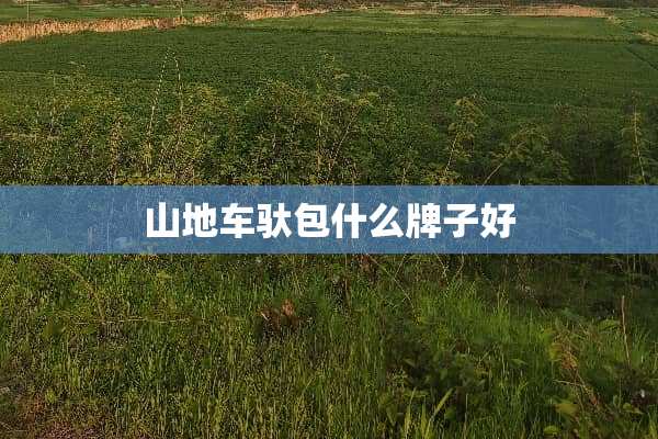 山地车驮包什么牌子好