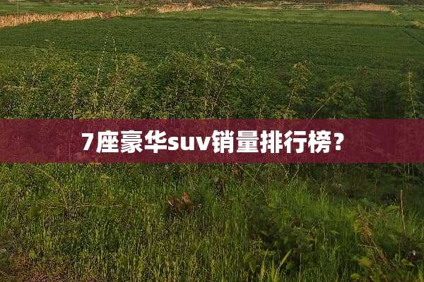 7座豪华suv销量排行榜？