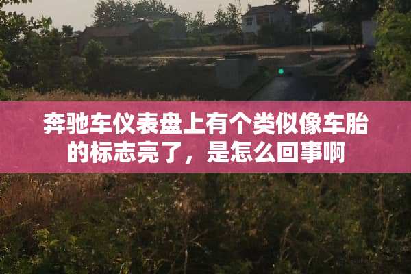 奔驰车仪表盘上有个类似像车胎的标志亮了，是怎么回事啊