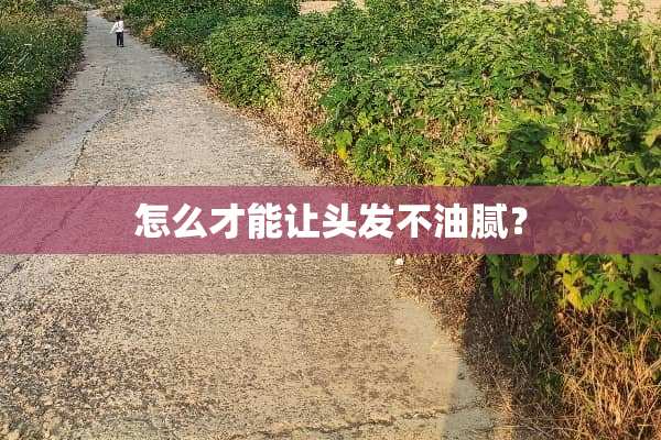 怎么才能让头发不油腻？