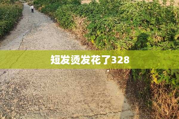 短发烫发花了328