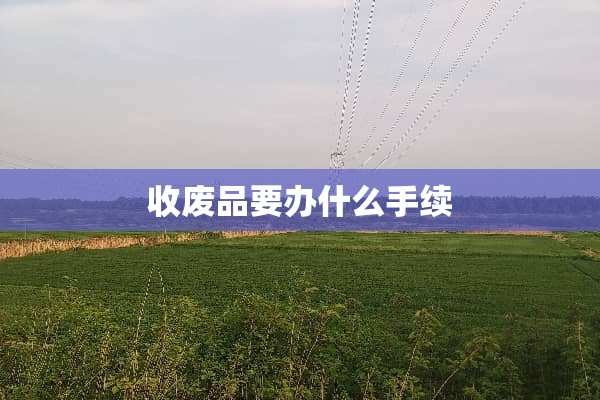收废品要办什么手续