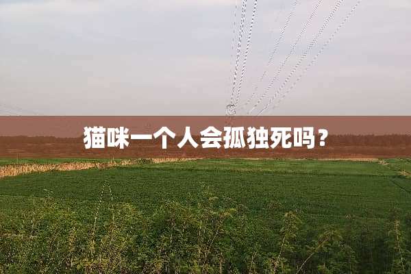 猫咪一个人会孤独死吗？