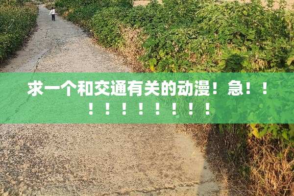 求一个和交通有关的动漫！急！！！！！！！！！！