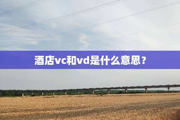 酒店vc和vd是什么意思？