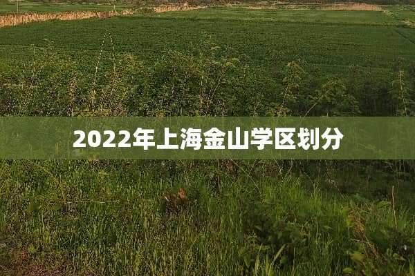 2022年上海金山学区划分