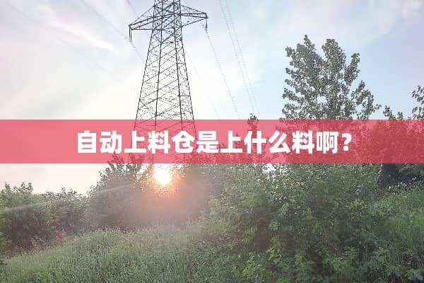 自动上料仓是上什么料啊？