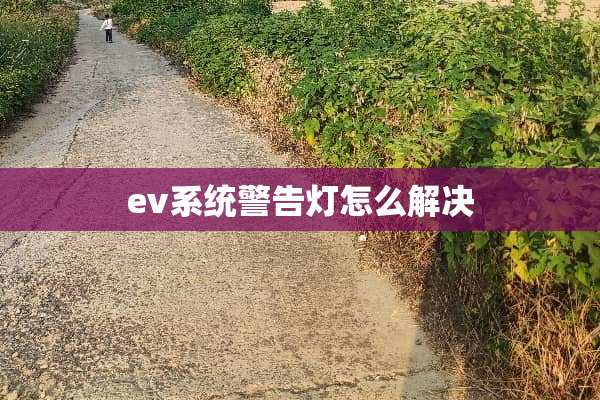 ev系统警告灯怎么解决