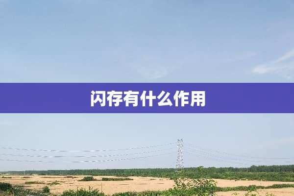 闪存有什么作用