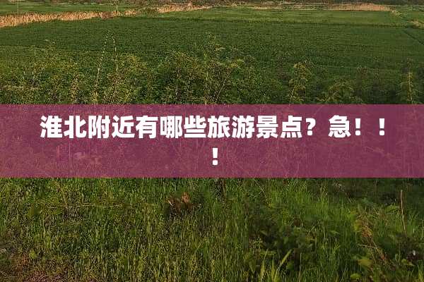 淮北附近有哪些旅游景点？急！！！