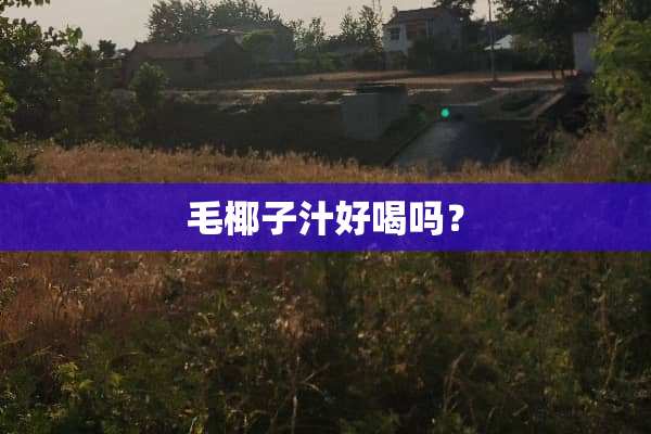 毛椰子汁好喝吗？