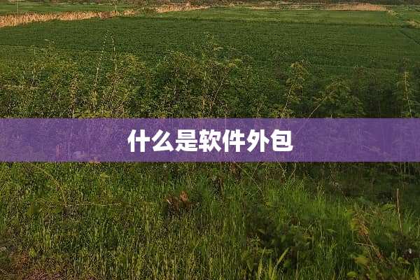 什么是软件外包