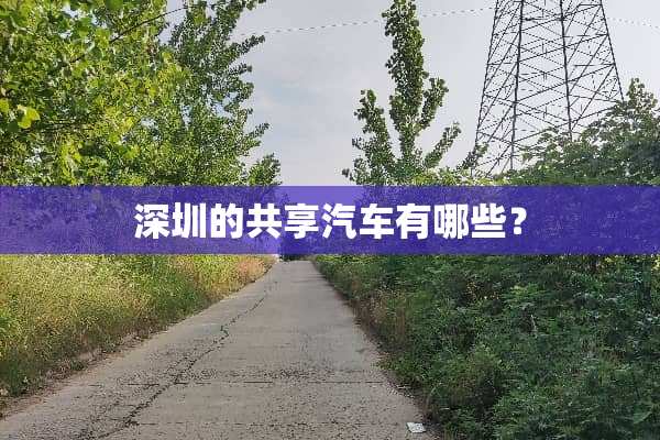 深圳的共享汽车有哪些？